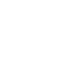 vijil